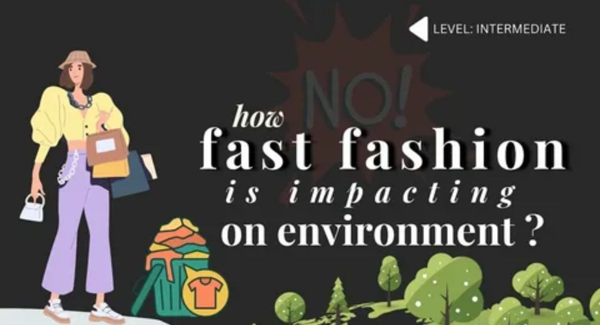 Fast Fashion Quality Analysis – Durability, waste, and industry realities