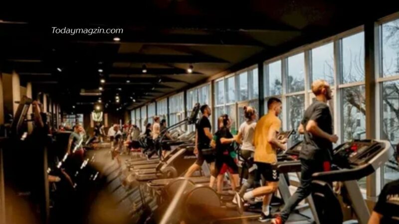 What Is Delta Fitness Authority? A Complete Beginner’s Guide