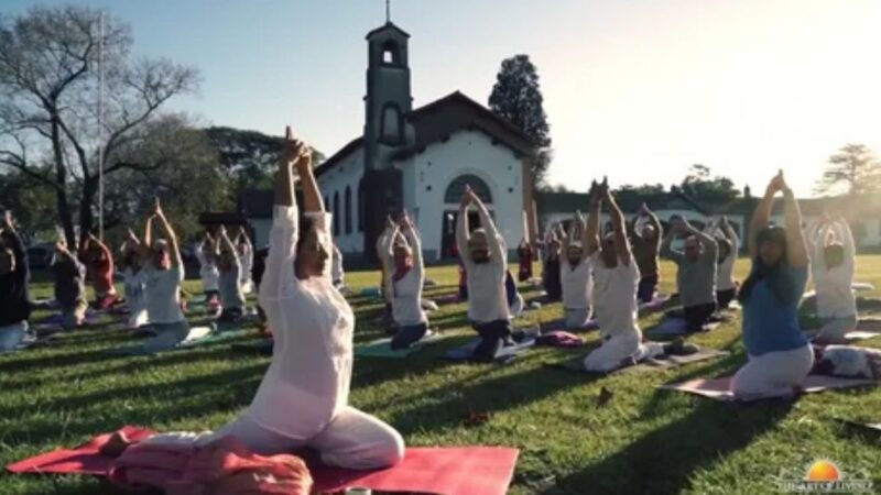 What Is a Certified-Yoga Member? Complete Beginner Guide to certified-yoga.com Member Benefits